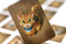 Jolly Dutch Kaartspel If It Fits Junior Lichtblauw