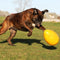 Jolly Pets Jolly Egg Ø 30 cm - Kunststof Hondenspeelgoed – Stevige hondenbal – Geschikt voor de grote hond – Hondenspeeltjes – Weerbestendig - Geel