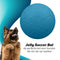 Jolly Pets Jolly Soccer Ball Ø 20 cm – Stevig Hondenspeelgoed – Apporteerspeelgoed met vanillegeur – Drijvend honden speelgoed – Licht Blauw