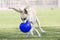 Jolly Pets Jolly Soccer Ball Ø 20 cm – Stevig Hondenspeelgoed – Apporteerspeelgoed met vanillegeur – Drijvend honden speelgoed – Licht Blauw