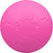 Jolly Pets Jolly Soccer Ball – Ø15cm – Hondenspeelgoed – Apporteerspeelgoed – Jollyflex stevig kunststof – Drijvend hondenspeeltje – Roze