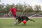 Jolly Pets Jolly Soccer Ball - Ø20 cm – Stevig Hondenspeelgoed – Apporteerspeelgoed - Jollyflex stevig kunststof – Drijvend honden speelgoed – Rood