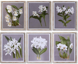 Schilderij DKD Home Decor Spar Kristal 50 x 60 x 2,8 cm 50 x 2,8 x 60 cm Blommor (6 Onderdelen)