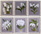 Schilderij DKD Home Decor Spar Kristal 50 x 60 x 2,8 cm 50 x 2,8 x 60 cm Blommor (6 Onderdelen)