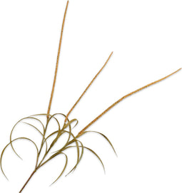 Silk-ka Kunstbloem-Zijde Gras Tak Geel-Oranje 135 cm
