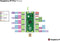 Joy-it RB-Pico-Kit01 Starterkit RB-Pico-Kit01