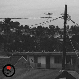 Antwon Double Ecstasy - LP - Standard Edition