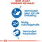 Royal Canin Indoor - Kattenvoer Brokjes - 400 g