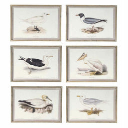 Schilderij DKD Home Decor 70 x 2,5 x 50 cm Traditioneel Vogels (6 Onderdelen)