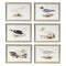 Schilderij DKD Home Decor 70 x 2,5 x 50 cm Traditioneel Vogels (6 Onderdelen)