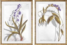 Schilderij DKD Home Decor 50 x 2 x 70 cm Modern Botanische planten (2 Stuks)