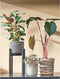 Mica Decorations Ascot Plantenstandaard - L14 x B14 x H25 cm - Metaal - Zwart