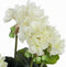 Mica Decorations Geranium Kunstplant in Bloempot Stan - H34 x Ø20 cm - Crème