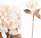 PTMD Gedroogde Hortensia Droogbloem - 20x27x71 cm - Kunststof - Wit
