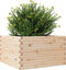 vidaXL - Plantenbak - 80x80x46 - cm - massief - grenenhout