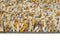 Vloerkleed Brink & Campman Pop Art 066907 - maat 140 x 200 cm