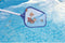 Bestway 58013 - Zwembad reinigingsset - Lichtgewicht stok 167 cm - Blauw