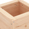 vidaXL - Plantenbak - 40x40x39 - cm - massief - grenenhout