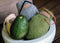 The Avocado Sock Nutmeg
