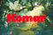 Komar Fotobehang 8-475 - Lion King - Jungle