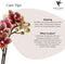 Geel rode phalaenopsis orchidee - Spain + Bee pot - potmaat Ø9cm -