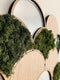 Schub wandtegel set van 3 - mos