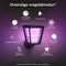 Philips Hue Econic - Buitenwandlamp - Slimme verlichting met 16 miljoen kleuren - IP44 (1x)