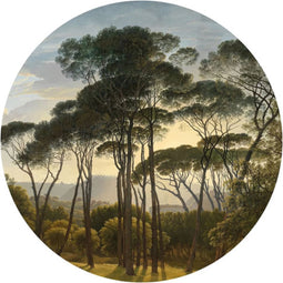 WallArt Behangcirkel Umbrella Pines in Italy 142,5 cm