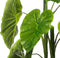 Mica Decorations Alocasia Kunstplant in Bloempot - H100 x Ø50 cm - Groen