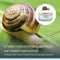 Celltone® Slakkengel - Gezichtscrème met Slakkenslijmextract - Tegen Rimpels en Littekens - 50 ML