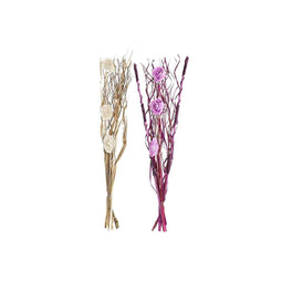 Boeket DKD Home Decor Roze Lila Wit Gedroogde bloem (30 x 30 x 100 cm) (2 Stuks)