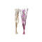 Boeket DKD Home Decor Roze Lila Wit Gedroogde bloem (30 x 30 x 100 cm) (2 Stuks)