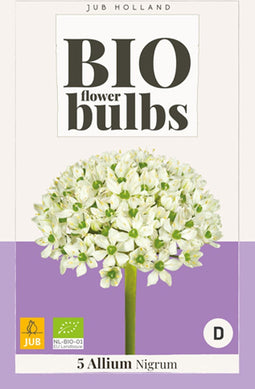 JUB - Allium nigrum - bio