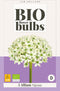 JUB - Allium nigrum - bio