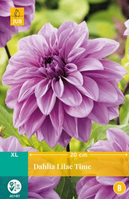 Jub - Dahlia lilac time bol/knol 1 stuks
