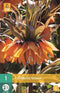 JUB - Fritillaria imp. Sunset