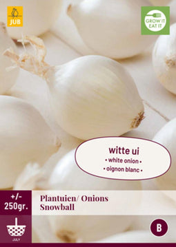 Jub - Plantuien snowball 250 gram bol/knol