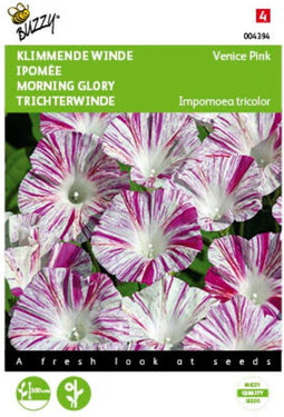 5 stuks Ipomoea, Klimmende winde Venice Pink