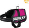 Julius K9 IDC Powertuig/Harnas - Baby 2/33-45cm - XXS - Fuchsia