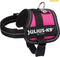 Julius K9 IDC Powertuig/Harnas - Baby 2/33-45cm - XXS - Fuchsia
