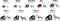 Julius-K9 IDC Powertuig - Hondentuig - 2XS - Baby 2 - Zwart
