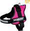 Julius K9 IDC Powertuig - Hondentuig - Maat 0 - M - Fuchsia
