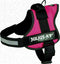 Julius K9 IDC Powertuig - Hondentuig - Maat 0 - M - Fuchsia