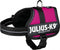 Julius K9 IDC Powertuig - Hondentuig - Maat 0 - M - Fuchsia