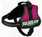 Julius K9 IDC Powertuig - Hondentuig - Mini-Mini - XS - Fuchsia
