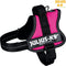 Julius K9 IDC Powertuig - Hondentuig - Mini - S - Fuchsia