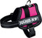 Julius K9 IDC Powertuig - Hondentuig - Mini - S - Fuchsia