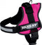 Julius K9 IDC Powertuig - Hondentuig - Mini - S - Fuchsia