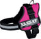 Julius K9 IDC Powertuig - Hondentuig - Mini - S - Fuchsia