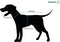 Julius-K9 IDC Powertuig - Hondentuig - XS - Mini-Mini - Camouflage